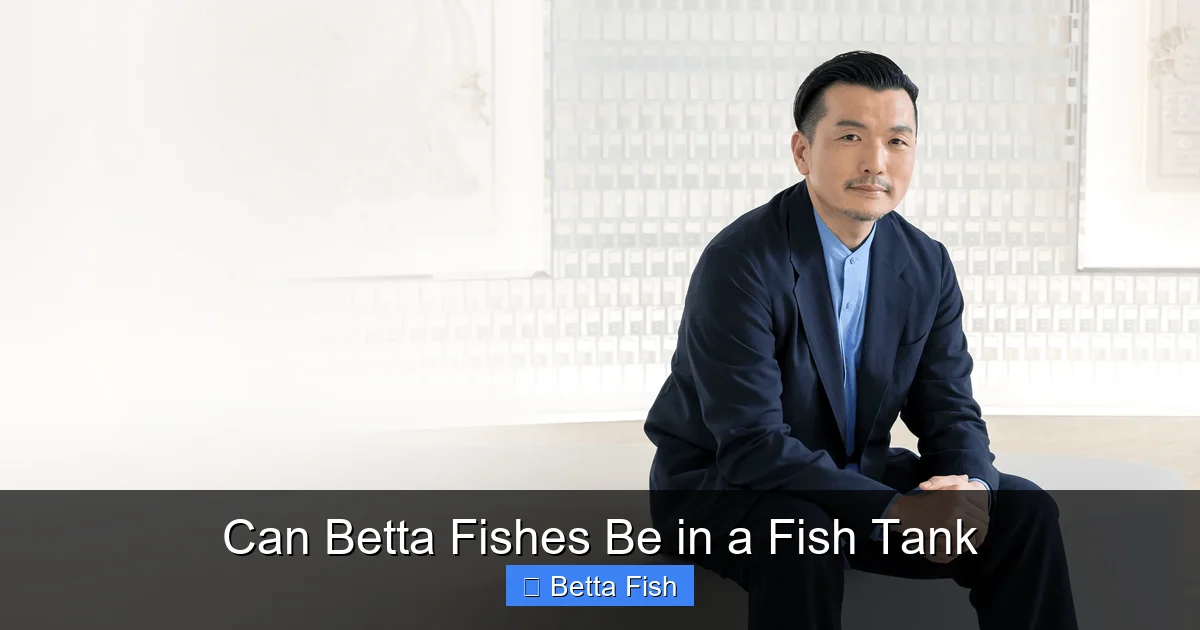 Can Betta Fishes Be in a Fish Tank