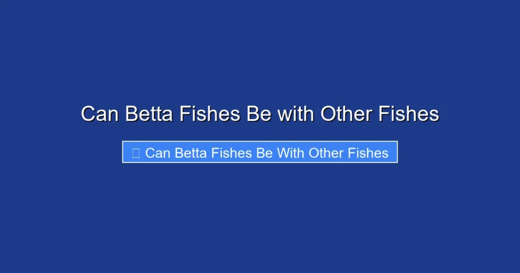 Can Betta Fishes Be with Other Fishes