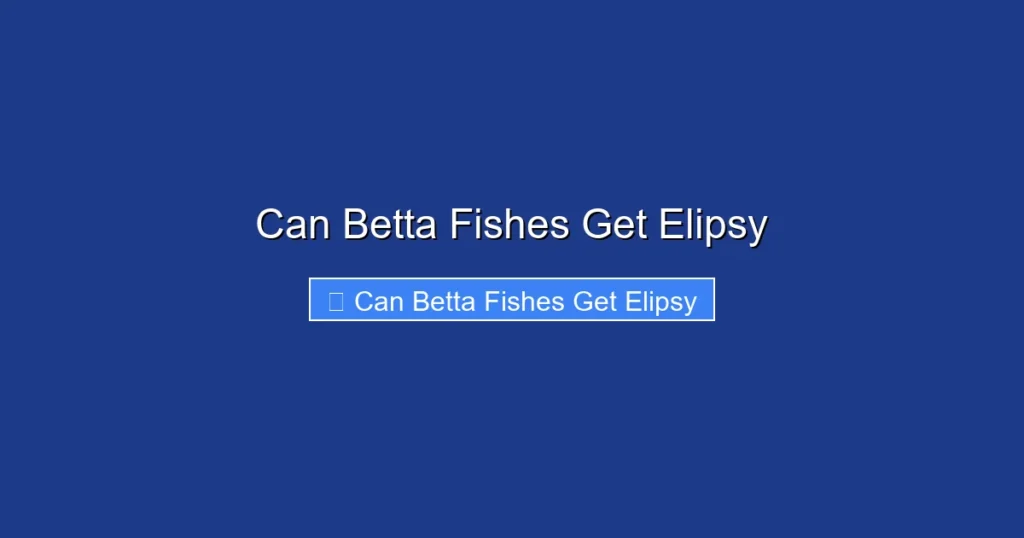Can Betta Fishes Get Elipsy