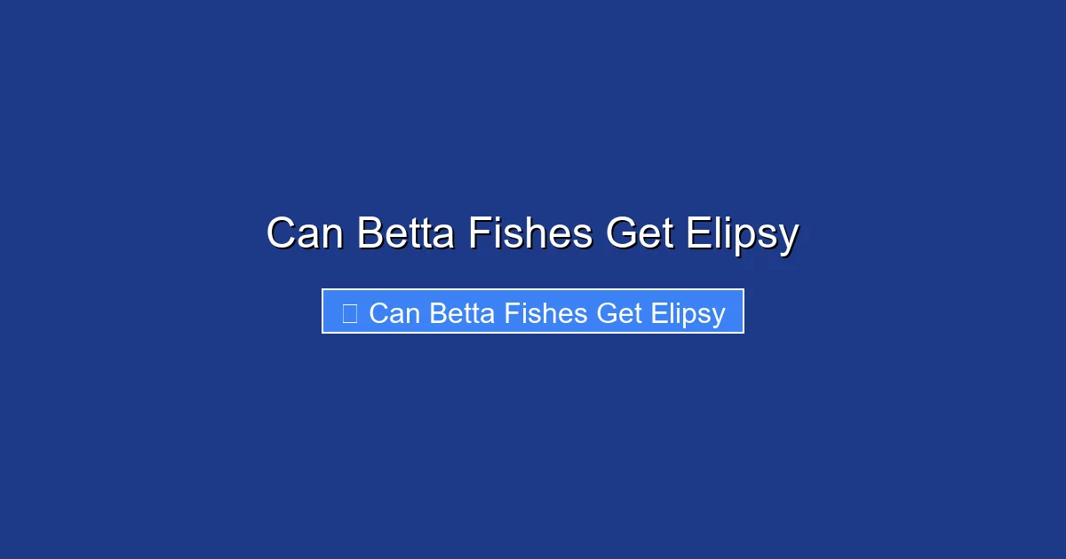 Can Betta Fishes Get Elipsy
