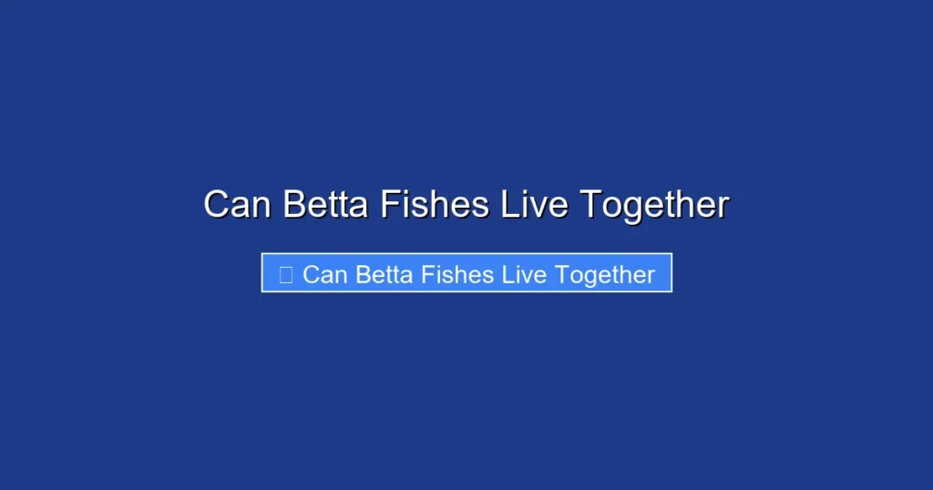 Can Betta Fishes Live Together