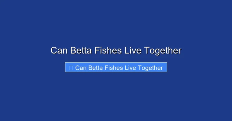 Can Betta Fishes Live Together