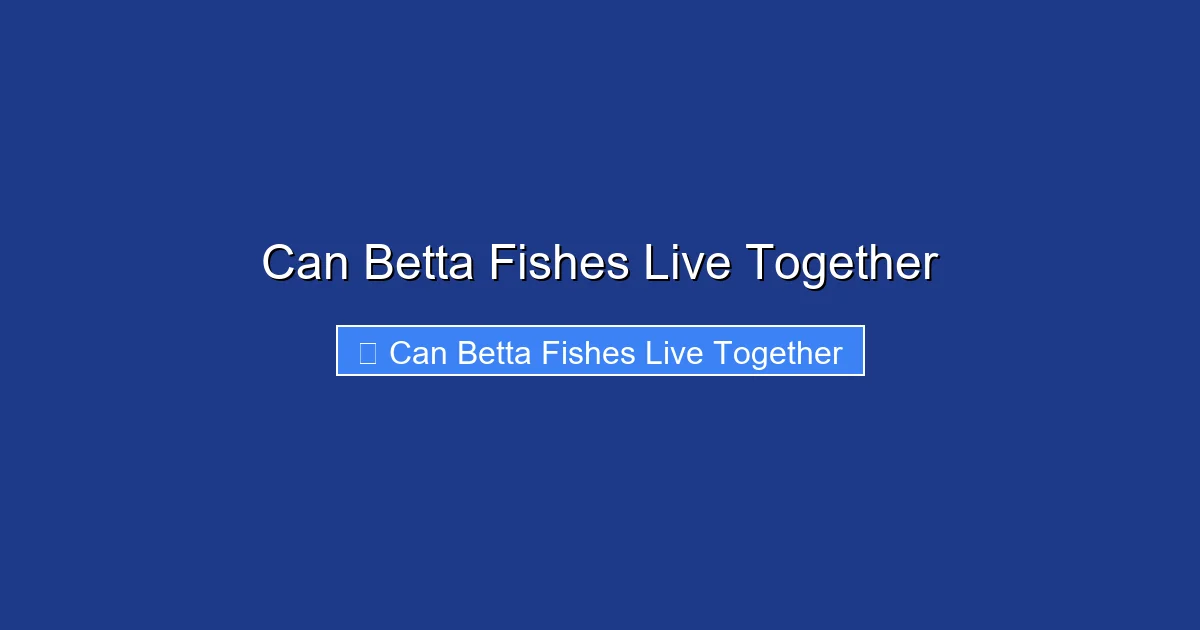 Can Betta Fishes Live Together