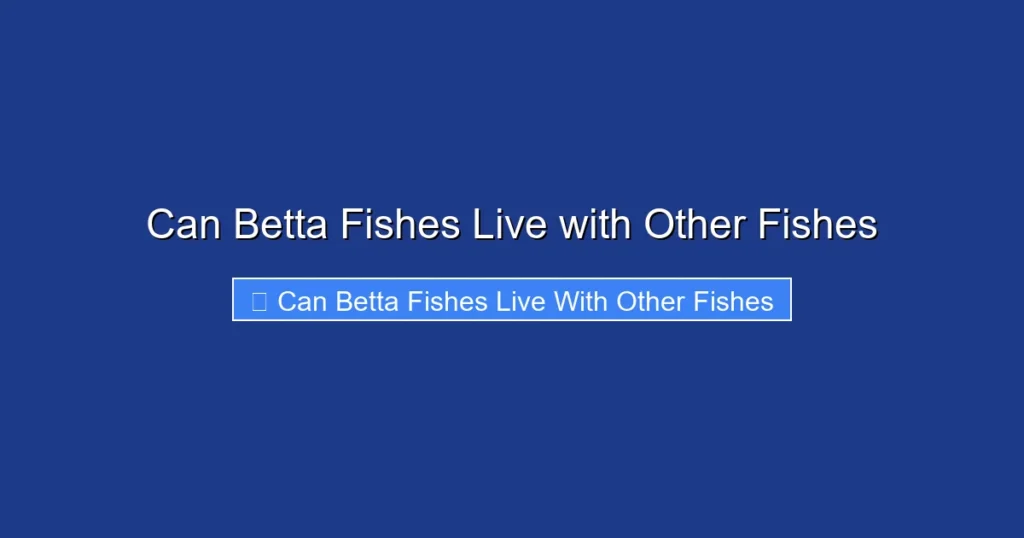 Can Betta Fishes Live with Other Fishes