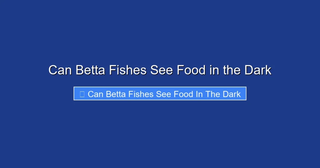 Can Betta Fishes See Food in the Dark