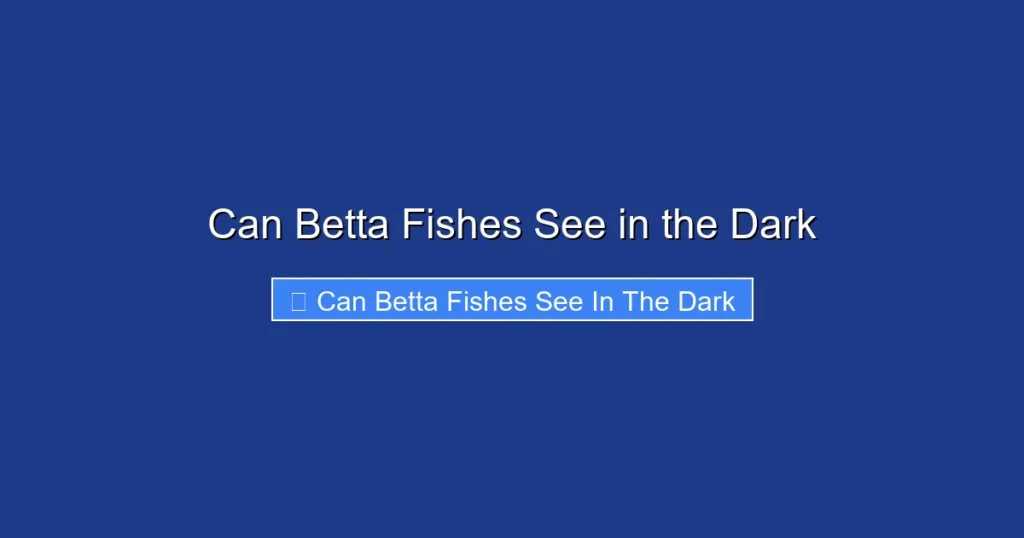 Can Betta Fishes See in the Dark