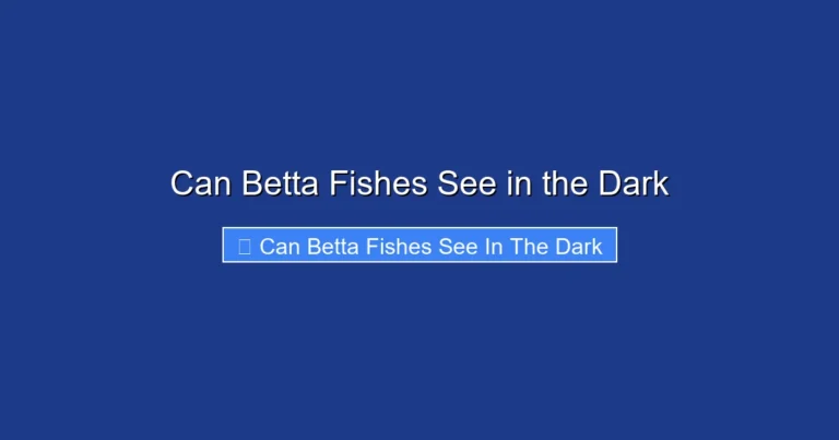 Can Betta Fishes See in the Dark