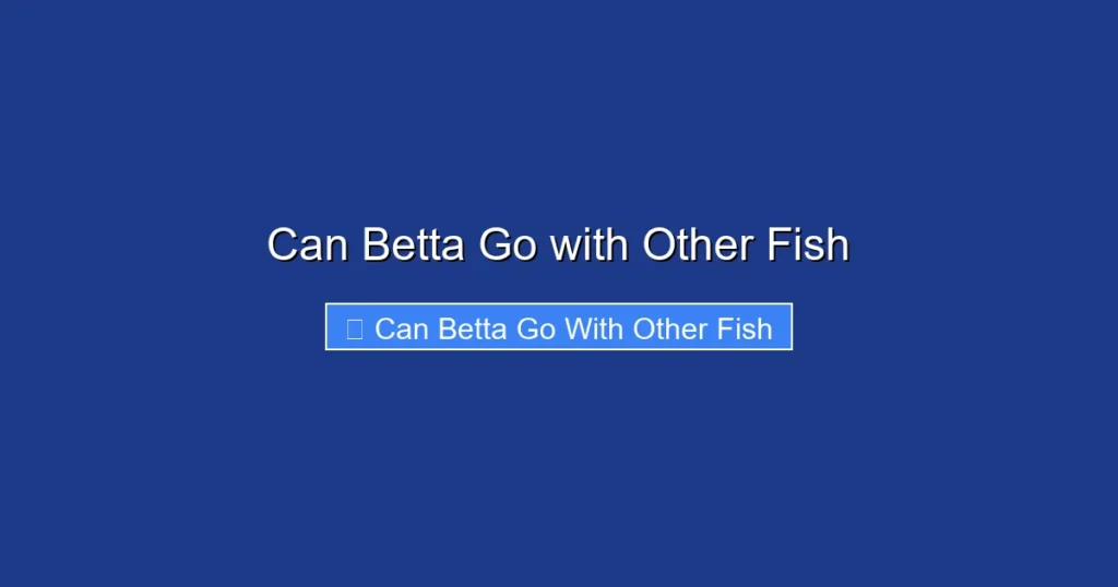 Can Betta Go with Other Fish
