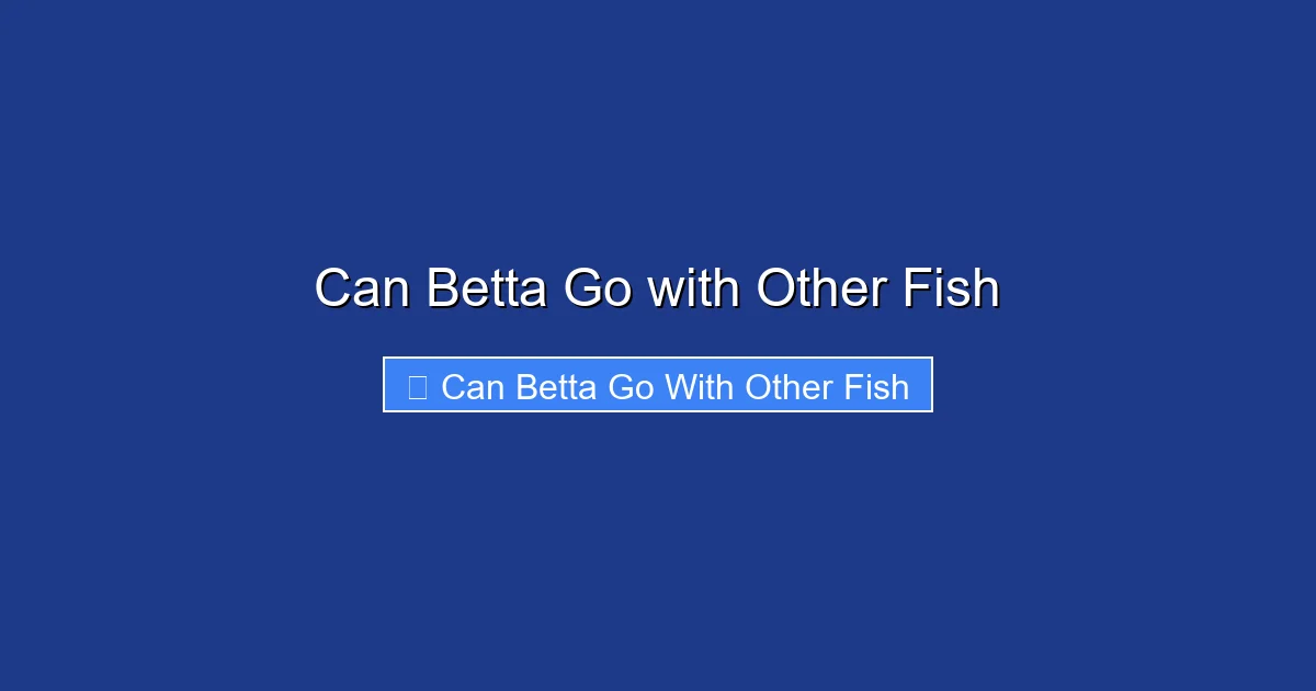 Can Betta Go with Other Fish