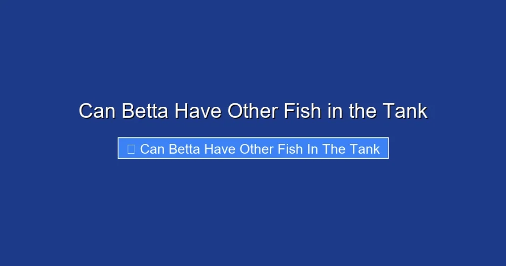 Can Betta Have Other Fish in the Tank