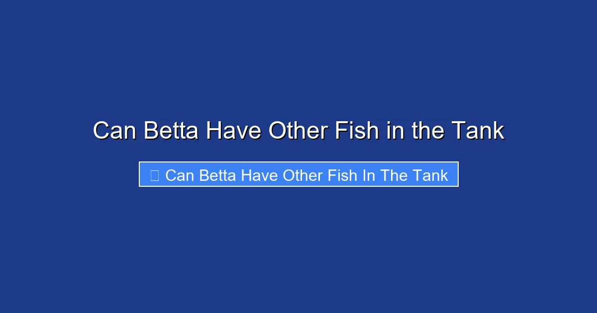 Can Betta Have Other Fish in the Tank