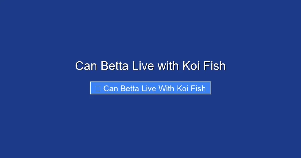 Can Betta Live with Koi Fish