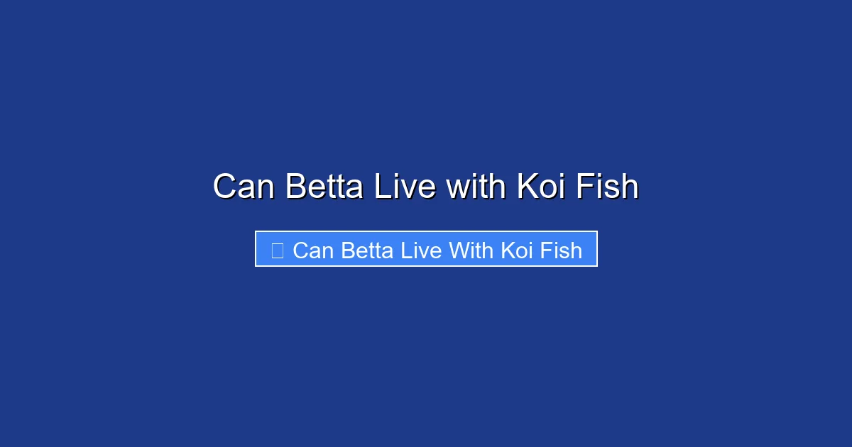Can Betta Live with Koi Fish