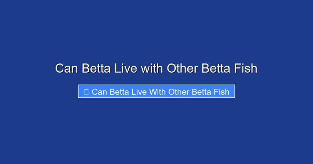 Can Betta Live with Other Betta Fish