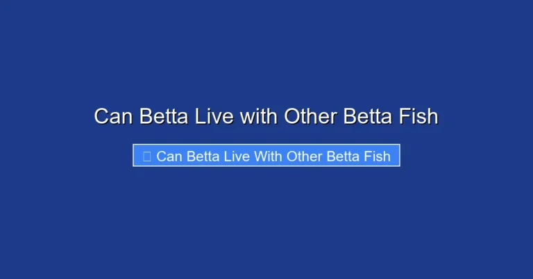 Can Betta Live with Other Betta Fish