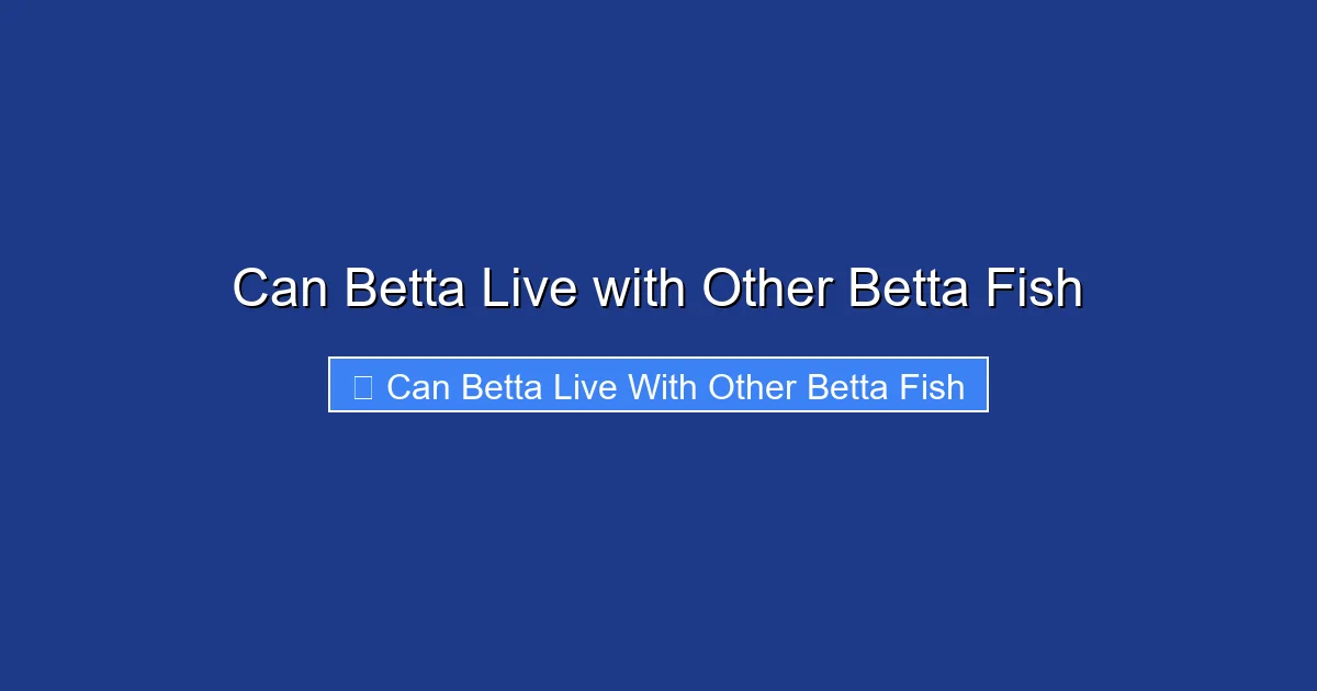 Can Betta Live with Other Betta Fish