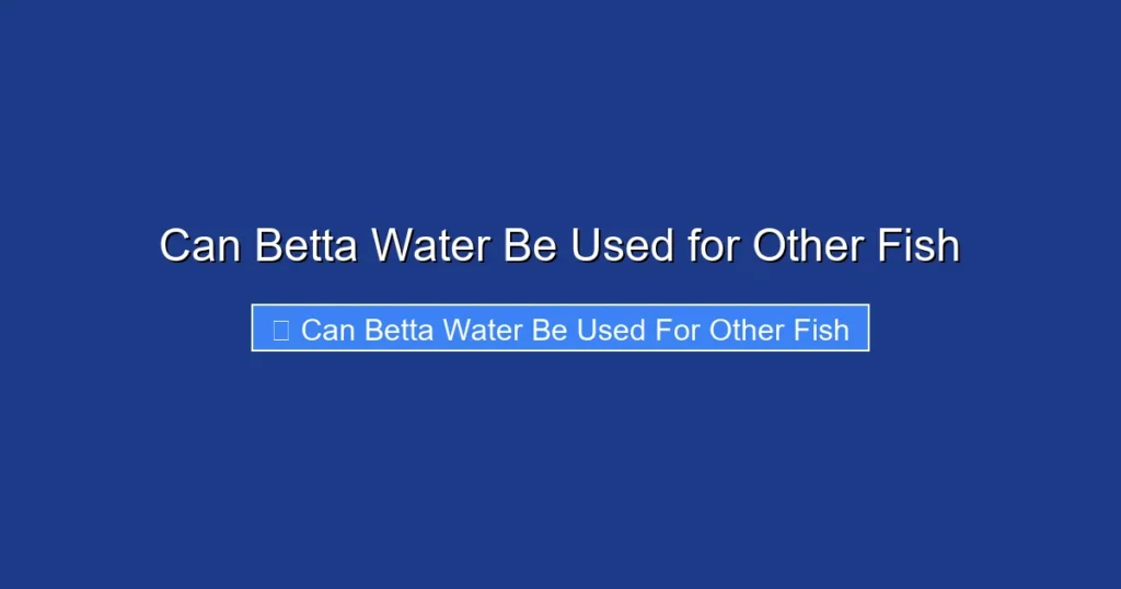 Can Betta Water Be Used for Other Fish
