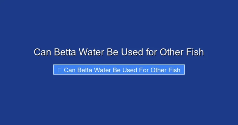 Can Betta Water Be Used for Other Fish