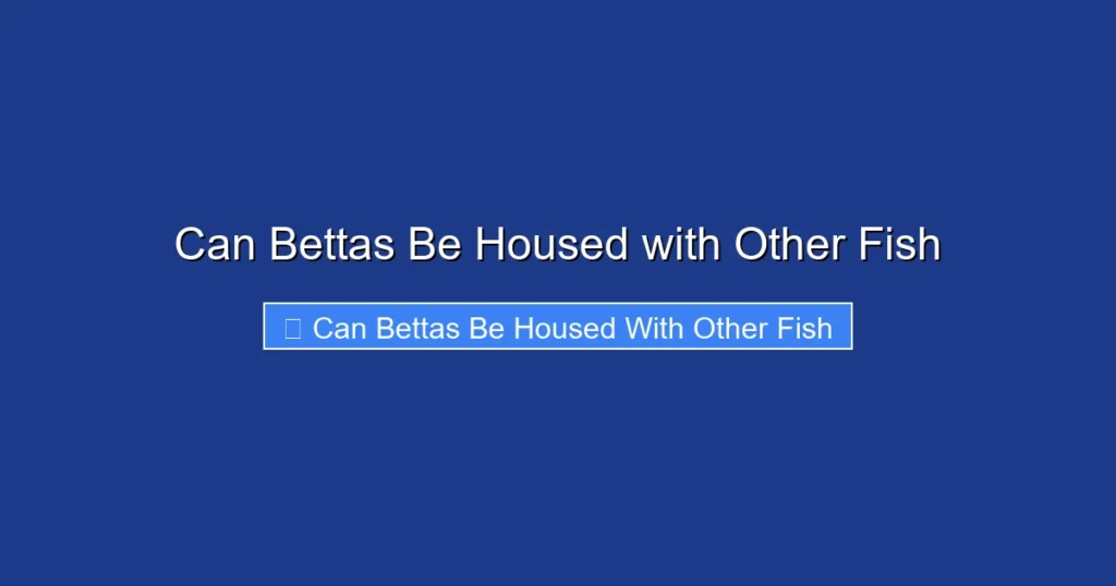 Can Bettas Be Housed with Other Fish