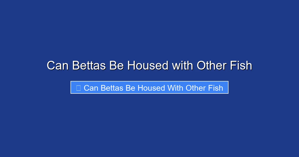 Can Bettas Be Housed with Other Fish