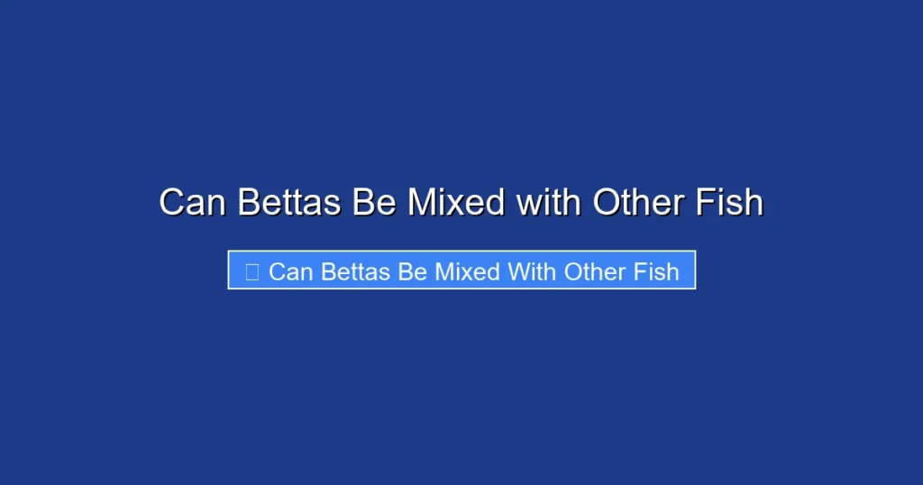 Can Bettas Be Mixed with Other Fish