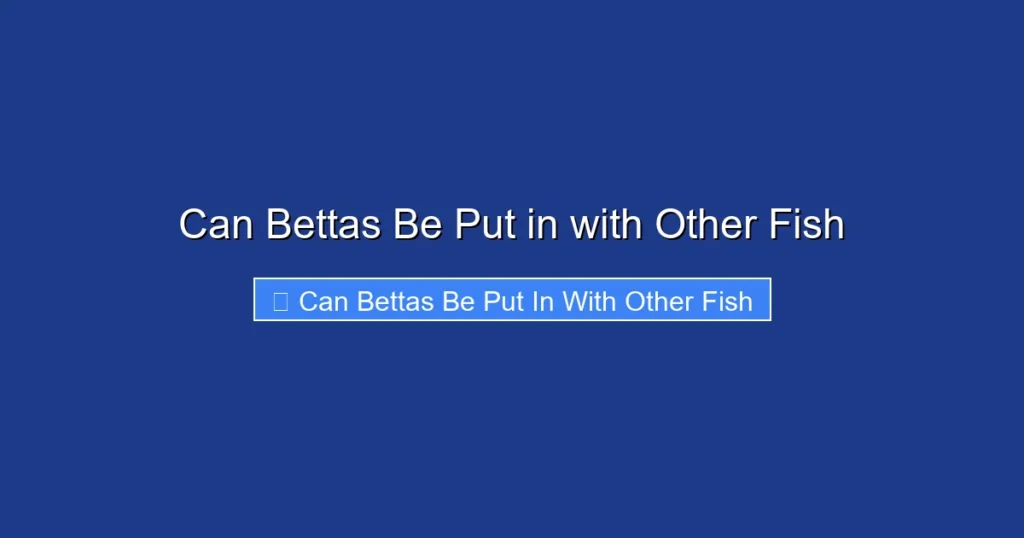 Can Bettas Be Put in with Other Fish
