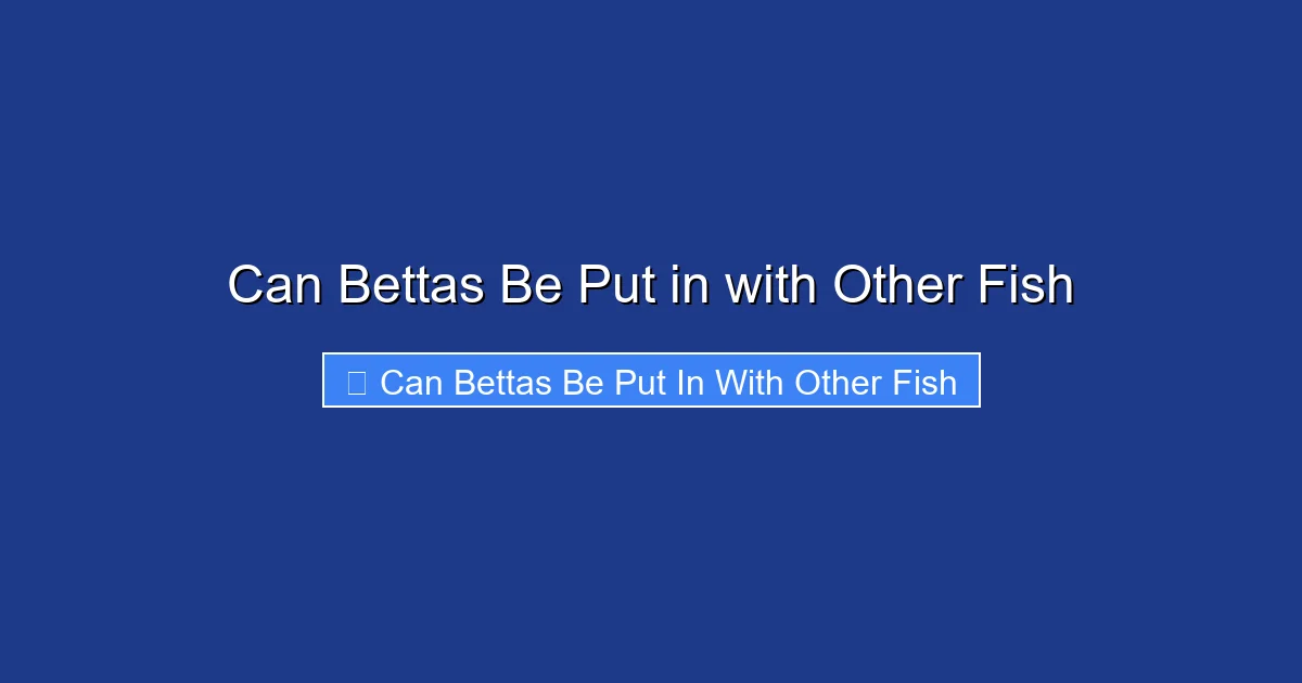 Can Bettas Be Put in with Other Fish