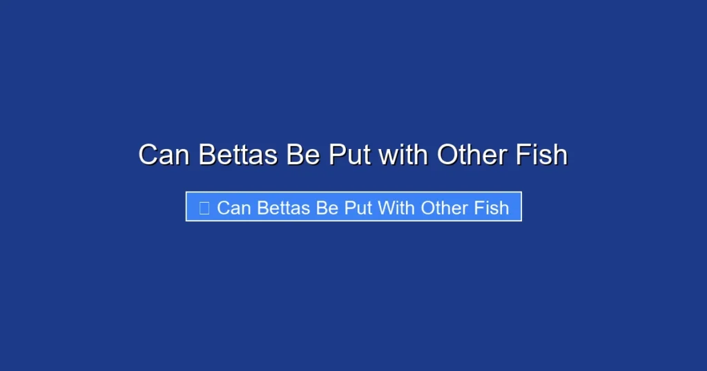 Can Bettas Be Put with Other Fish