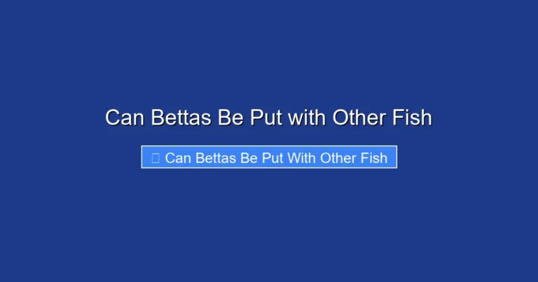 Can Bettas Be Put with Other Fish