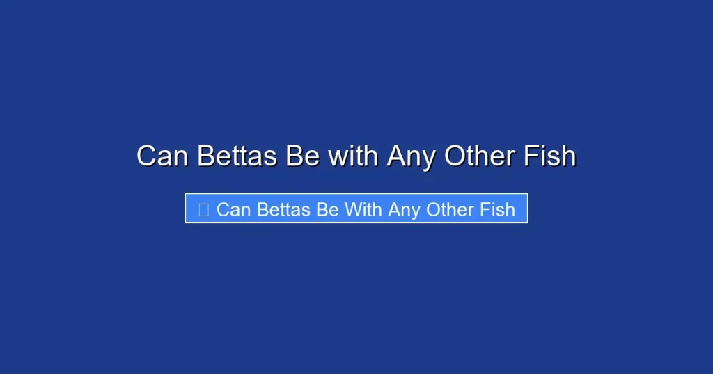 Can Bettas Be with Any Other Fish