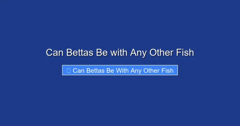 Can Bettas Be with Any Other Fish
