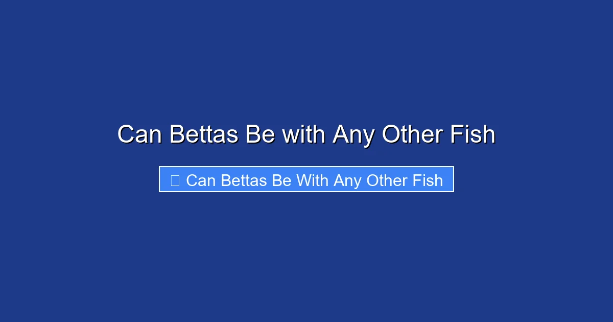 Can Bettas Be with Any Other Fish