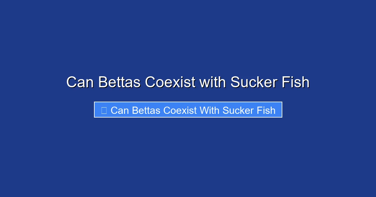 Can Bettas Coexist with Sucker Fish