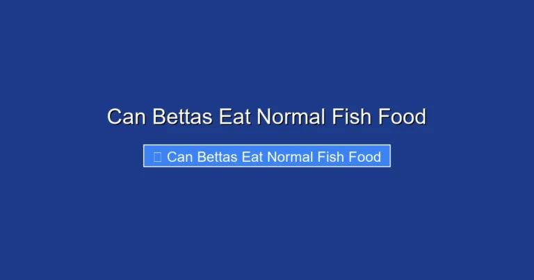 Can Bettas Eat Normal Fish Food