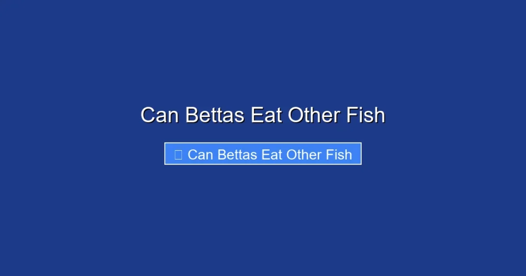 Can Bettas Eat Other Fish