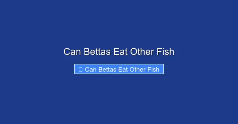 Can Bettas Eat Other Fish