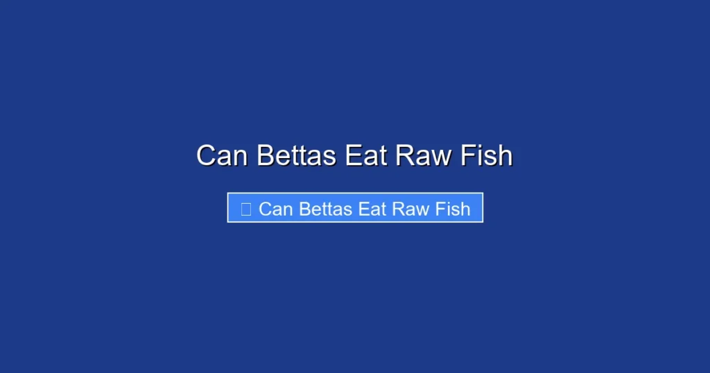 Can Bettas Eat Raw Fish