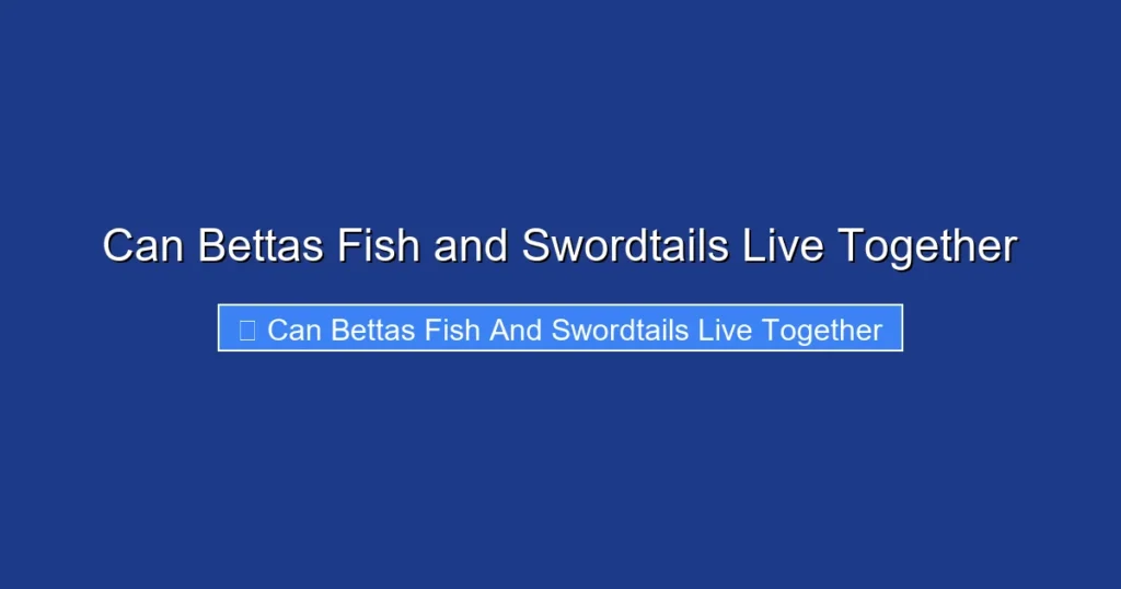 Can Bettas Fish and Swordtails Live Together