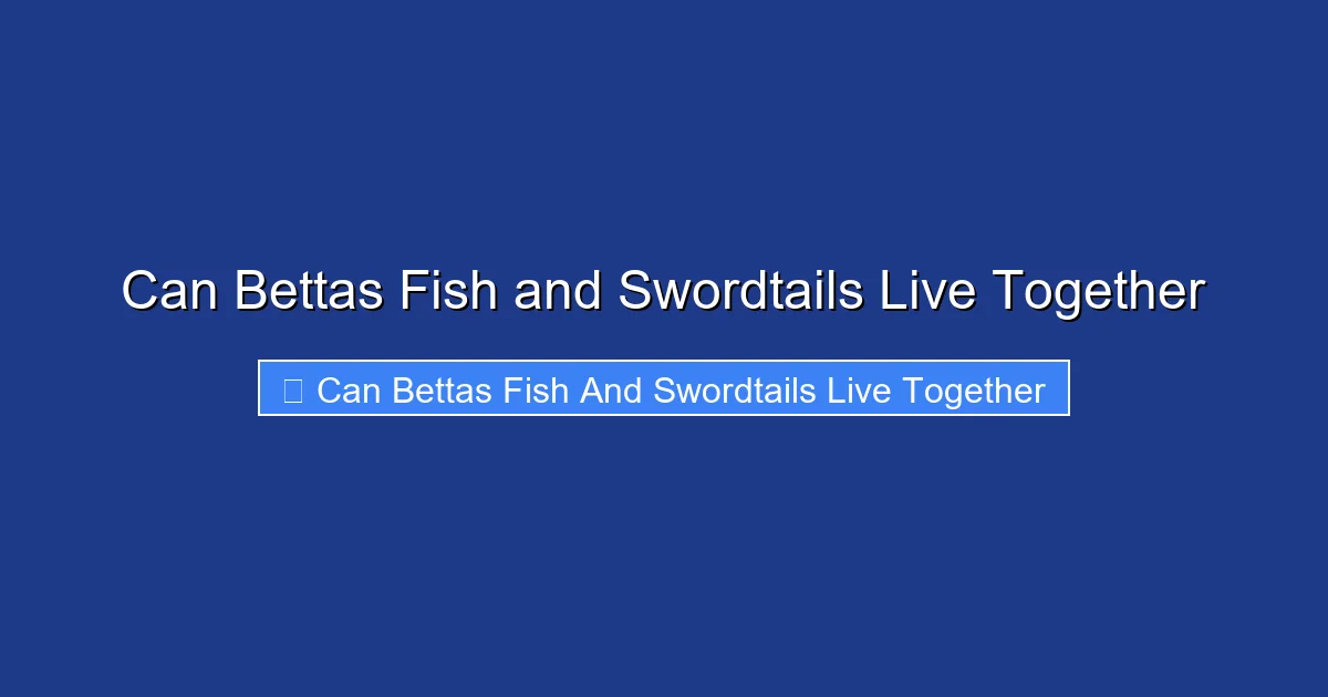 Can Bettas Fish and Swordtails Live Together