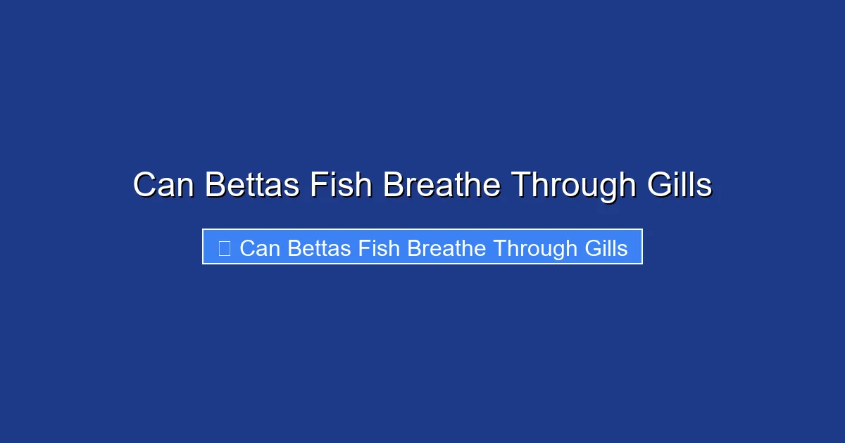 Can Bettas Fish Breathe Through Gills