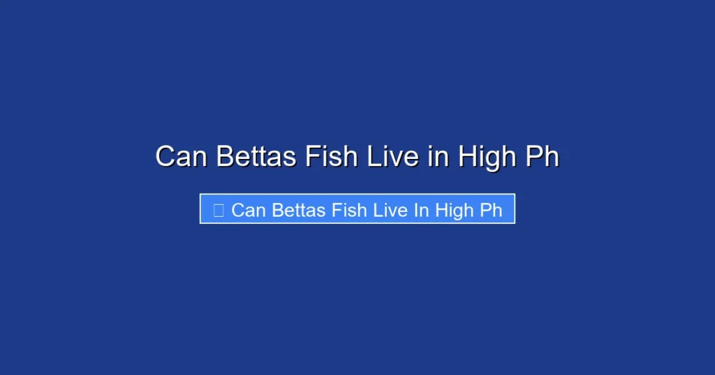 Can Bettas Fish Live in High Ph