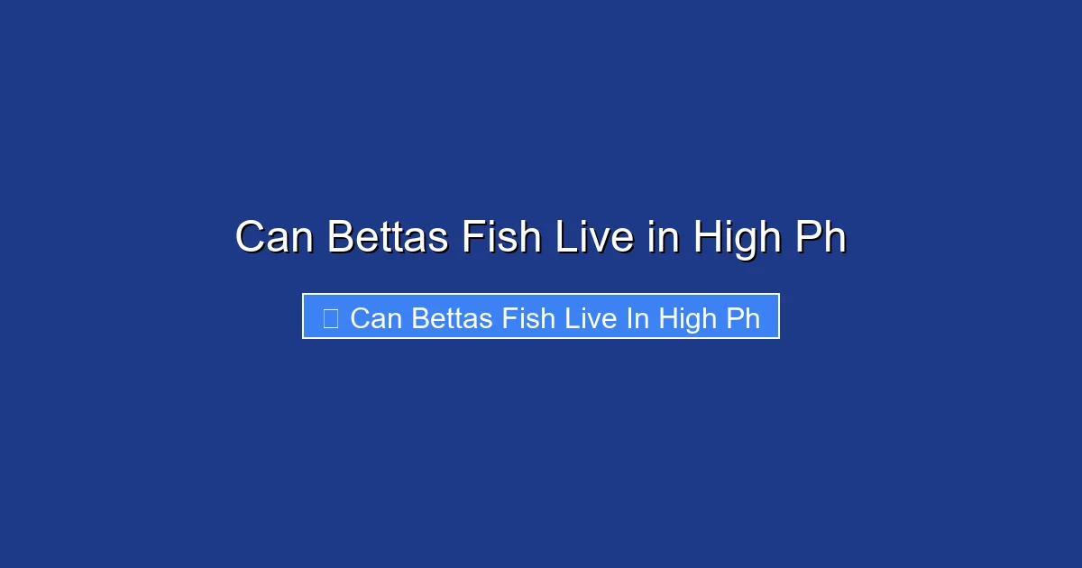 Can Bettas Fish Live in High Ph