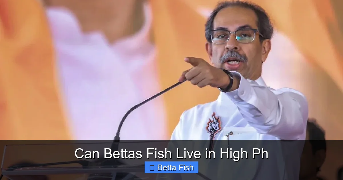 Can Bettas Fish Live in High Ph