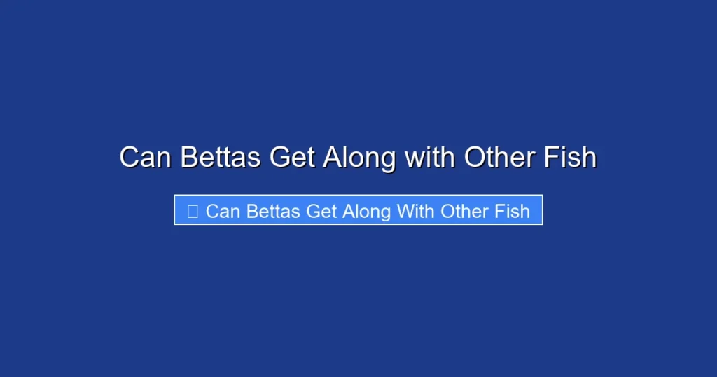 Can Bettas Get Along with Other Fish