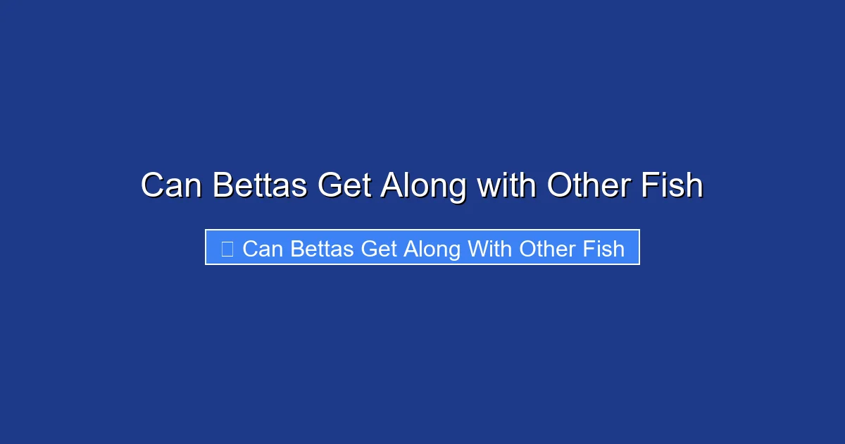 Can Bettas Get Along with Other Fish