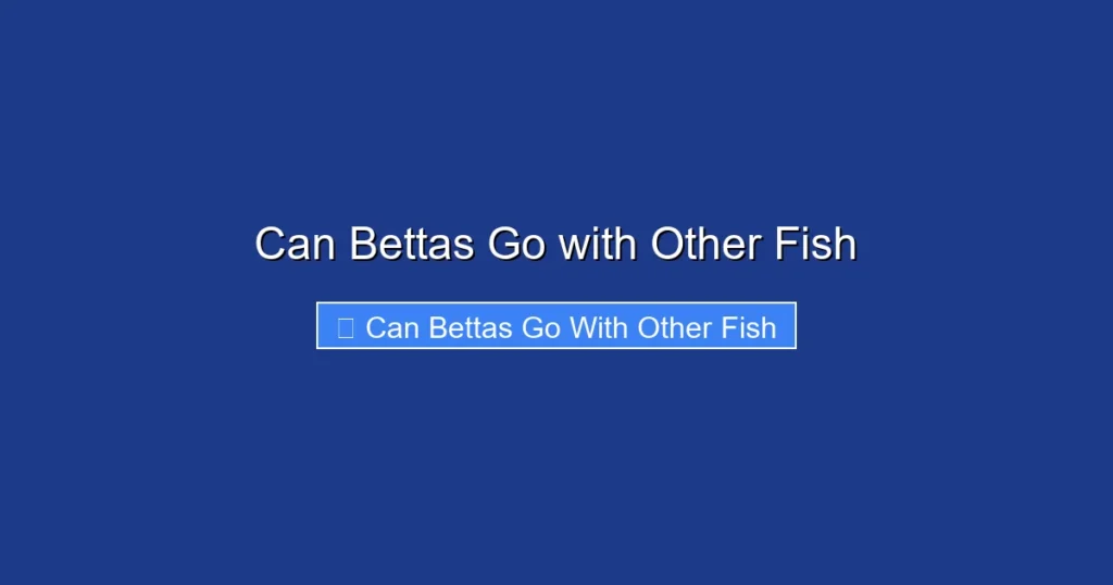 Can Bettas Go with Other Fish