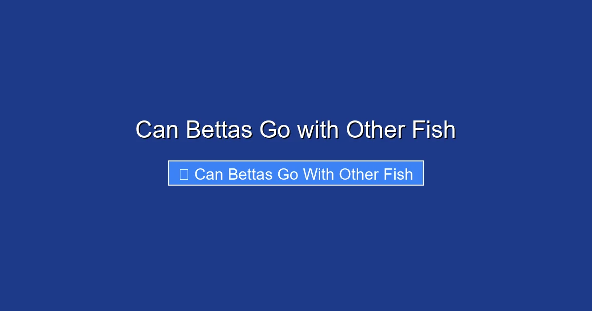 Can Bettas Go with Other Fish