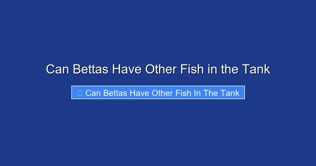 Can Bettas Have Other Fish in the Tank