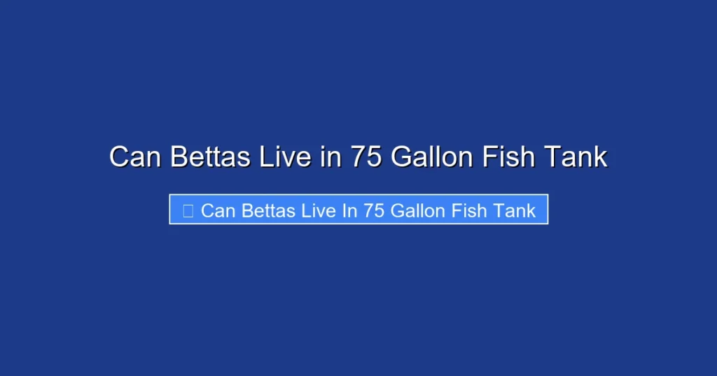 Can Bettas Live in 75 Gallon Fish Tank