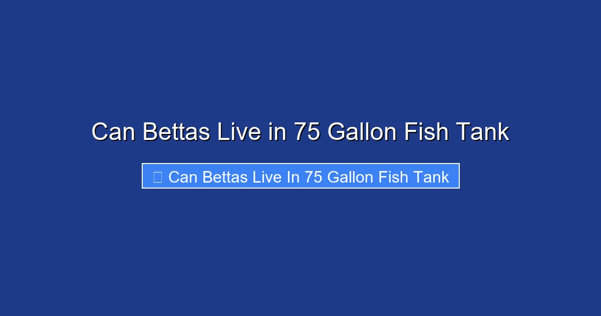Can Bettas Live in 75 Gallon Fish Tank